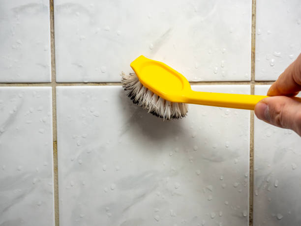Best Commercial Mold Removal  in Greenback, TN