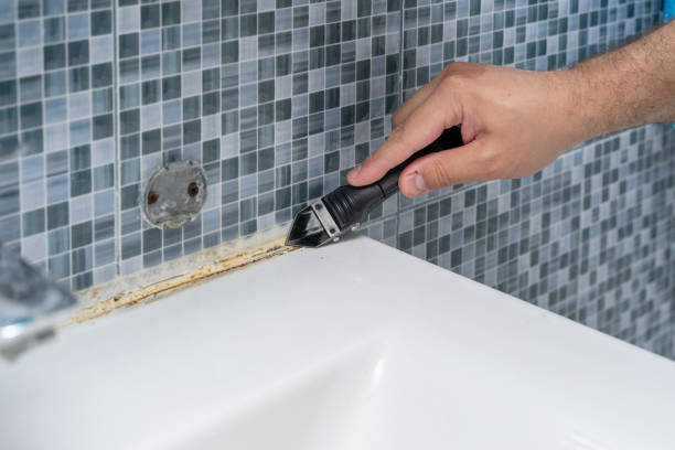 Best Mold Testing  in Greenback, TN