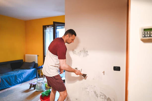 Best Water Damage Restoration  in Greenback, TN